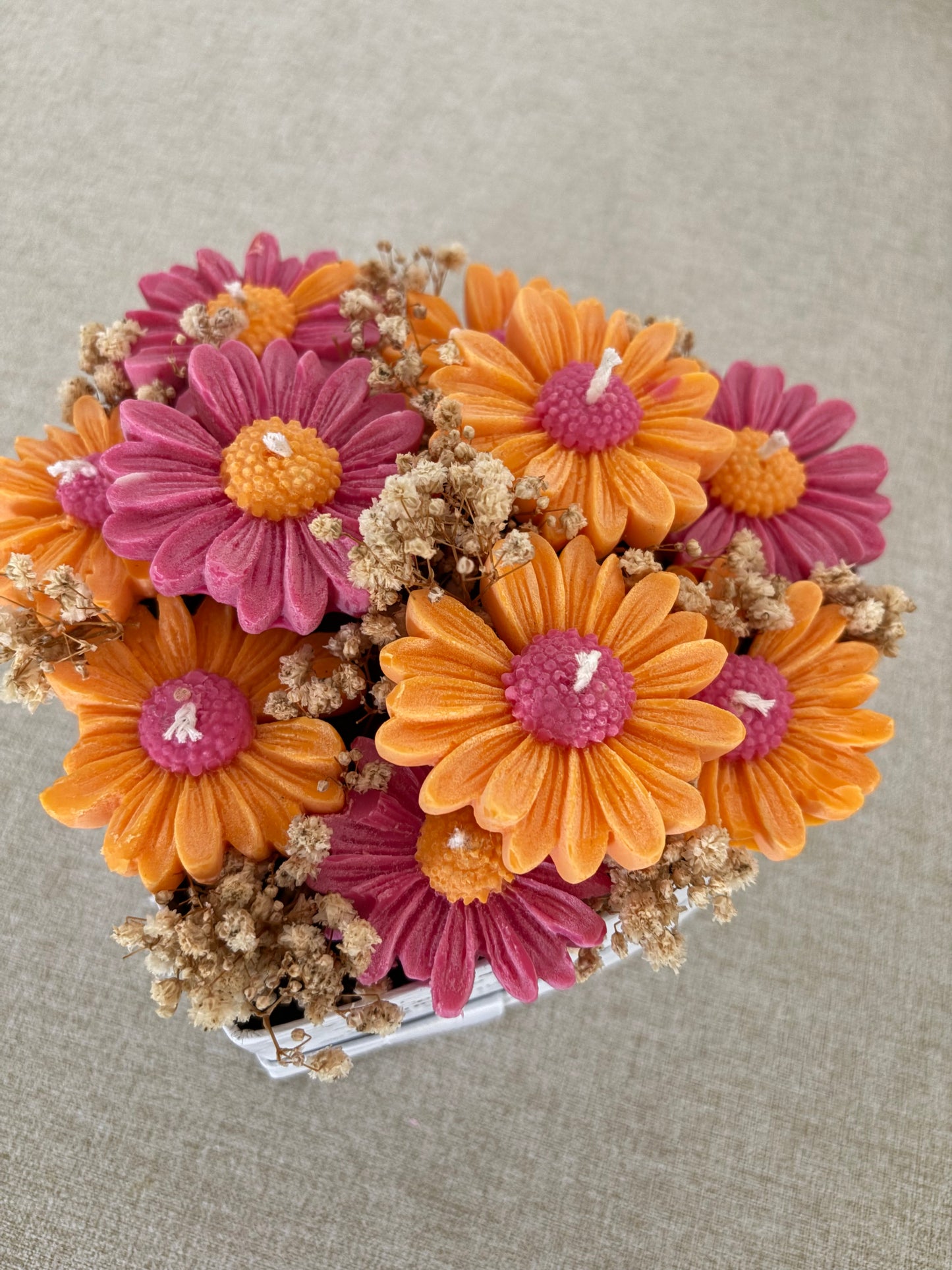Douces marguerites - Cerise noire