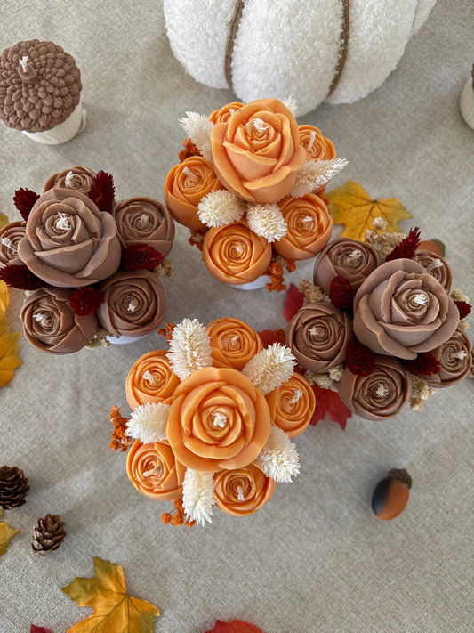 Le mini bouton de Roses